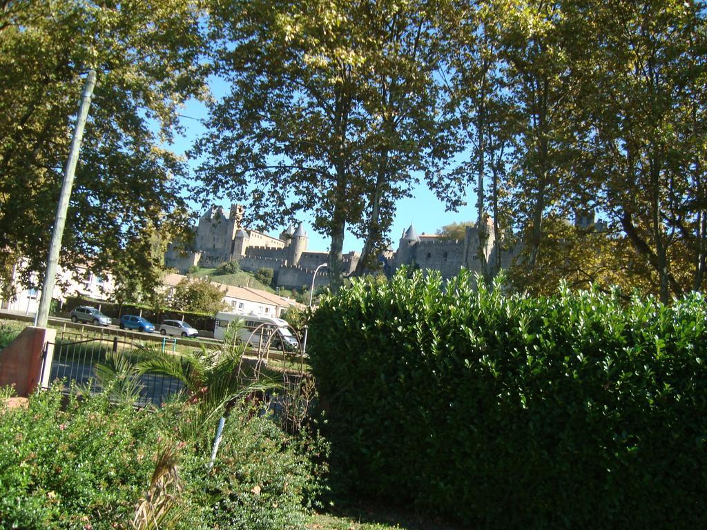Chambres D'Hotes Les Palmiers De La Cite Carcassonne Eksteriør bilde