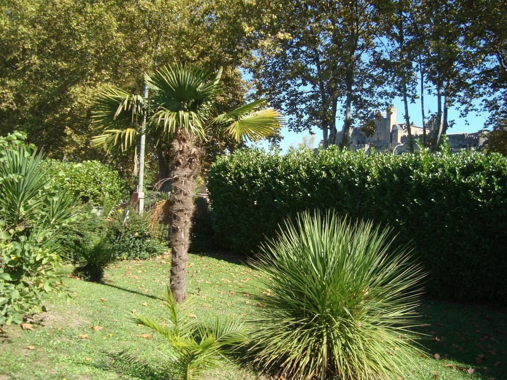 Chambres D'Hotes Les Palmiers De La Cite Carcassonne Eksteriør bilde