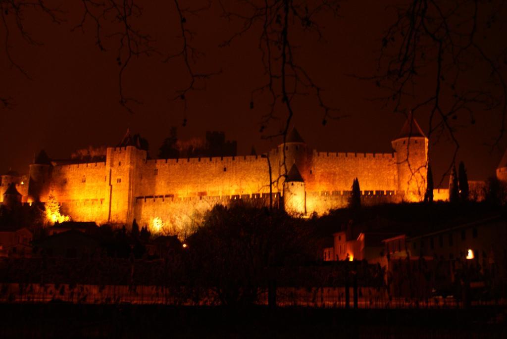 Chambres D'Hotes Les Palmiers De La Cite Carcassonne Eksteriør bilde
