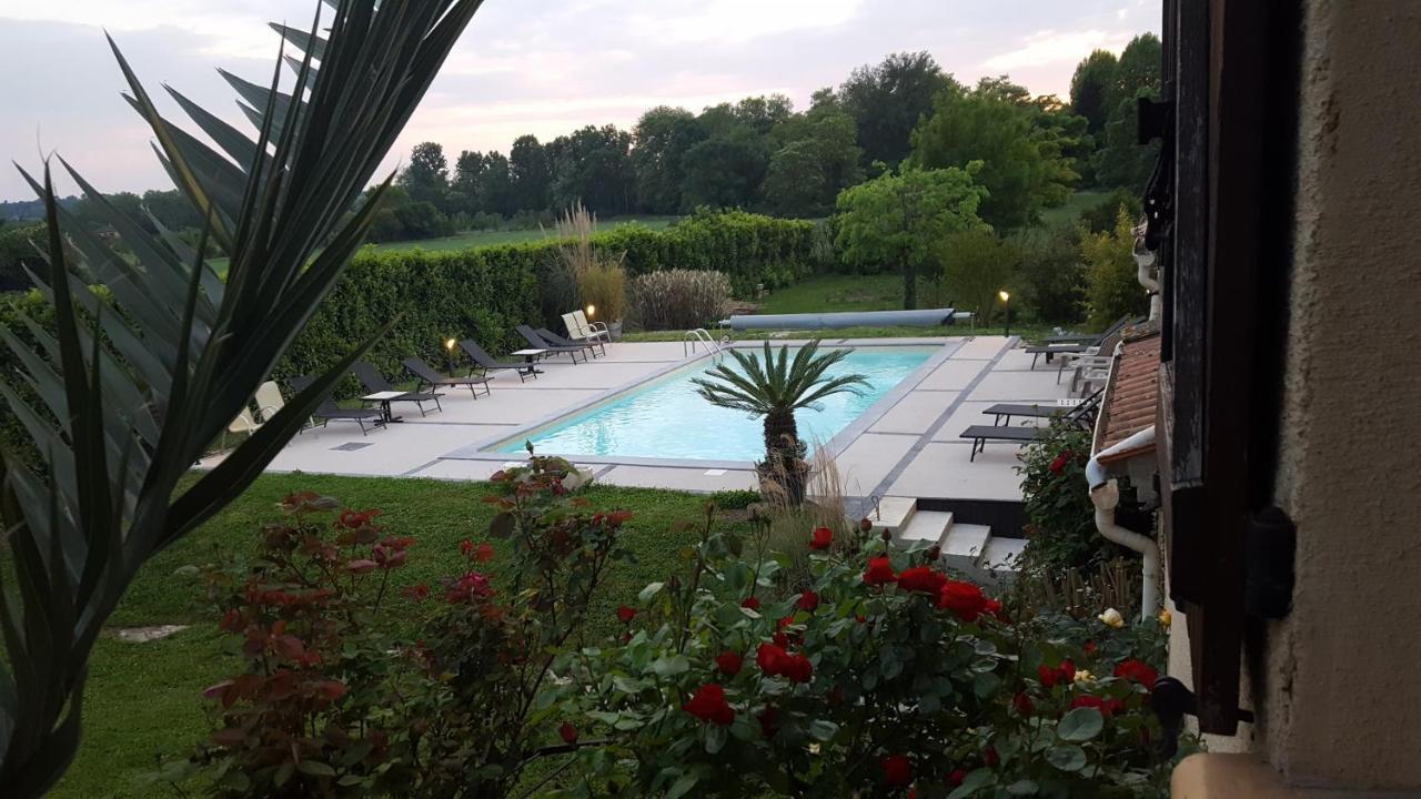 Chambres D'Hotes Les Palmiers De La Cite Carcassonne Eksteriør bilde